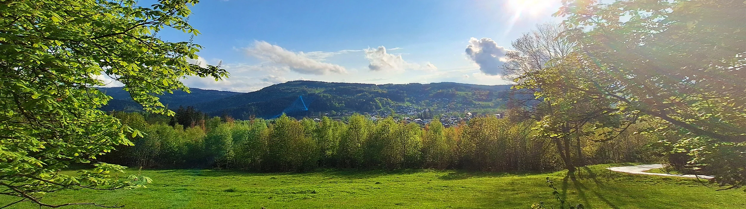 Sicht über Frauenau - Urlaubsort im bayerischen Wald