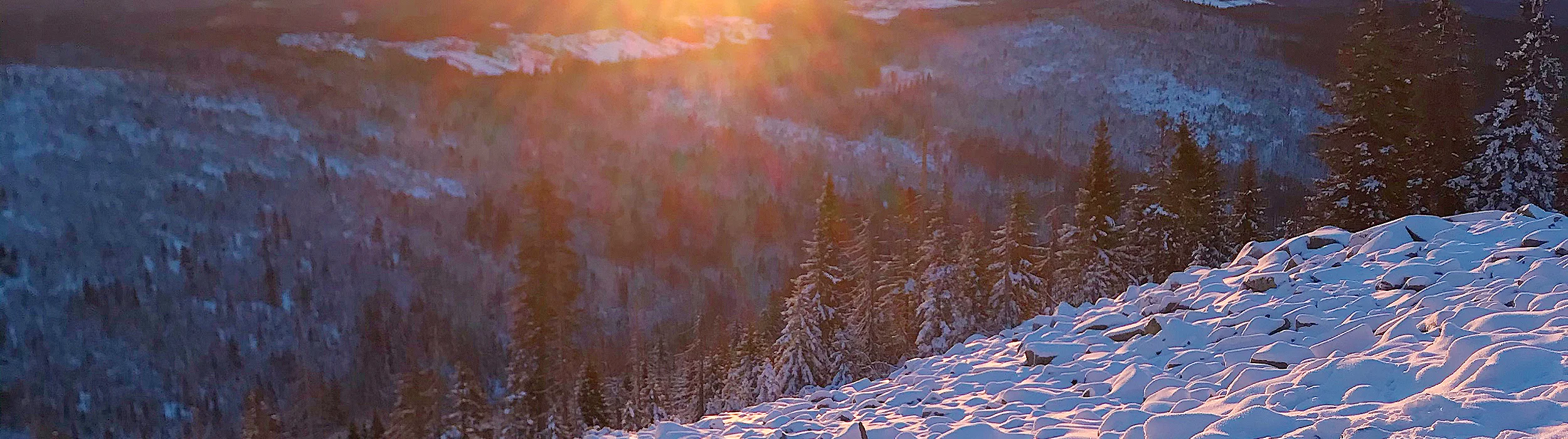 Winterliche Aussicht Lusen Bayerischer Wald