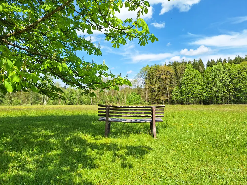 Urlaub im Grünen - Lage der Pension Fini Schneider im Nationalpark Bayerischer Wald