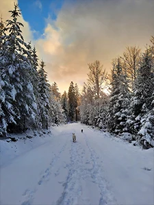 Winterurlaub mit Hund im Bayerischen Wald - Hundefreundliche Pension und Ferienwohnung